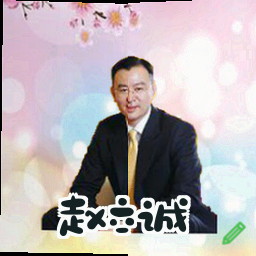 赵立诚